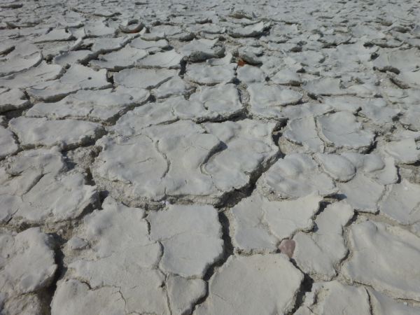 und genießen alleine das weite Salzfeld