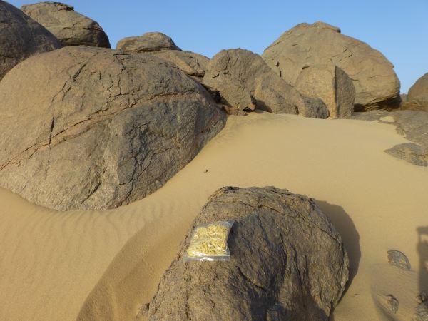 Die Aussenmikrowelle