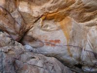 Bushman-Wandmalereien
