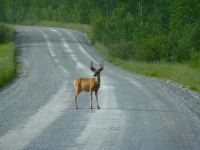 Und jetzt auch noch auf der Straße