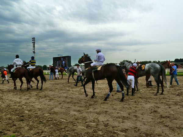 Aber klasse Atmosphäre