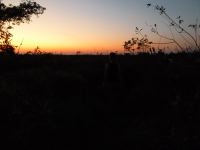 Sonnenuntergan in den Pampas